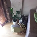 Apartament Luxury Sonja *