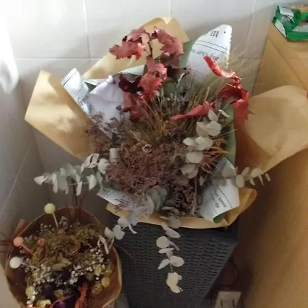 Luxury Sonja דירה פורץ