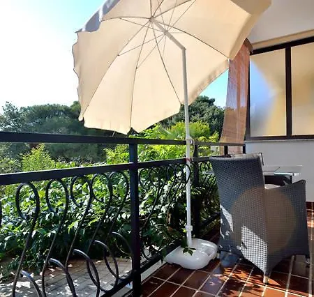 Luxury Sonja פורץ