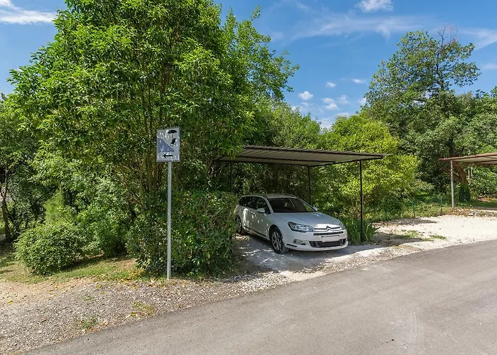 Luxury Sonja * 波雷奇